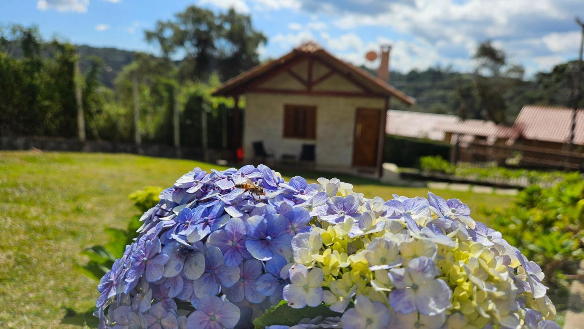 Gosto Da Roça Lodge